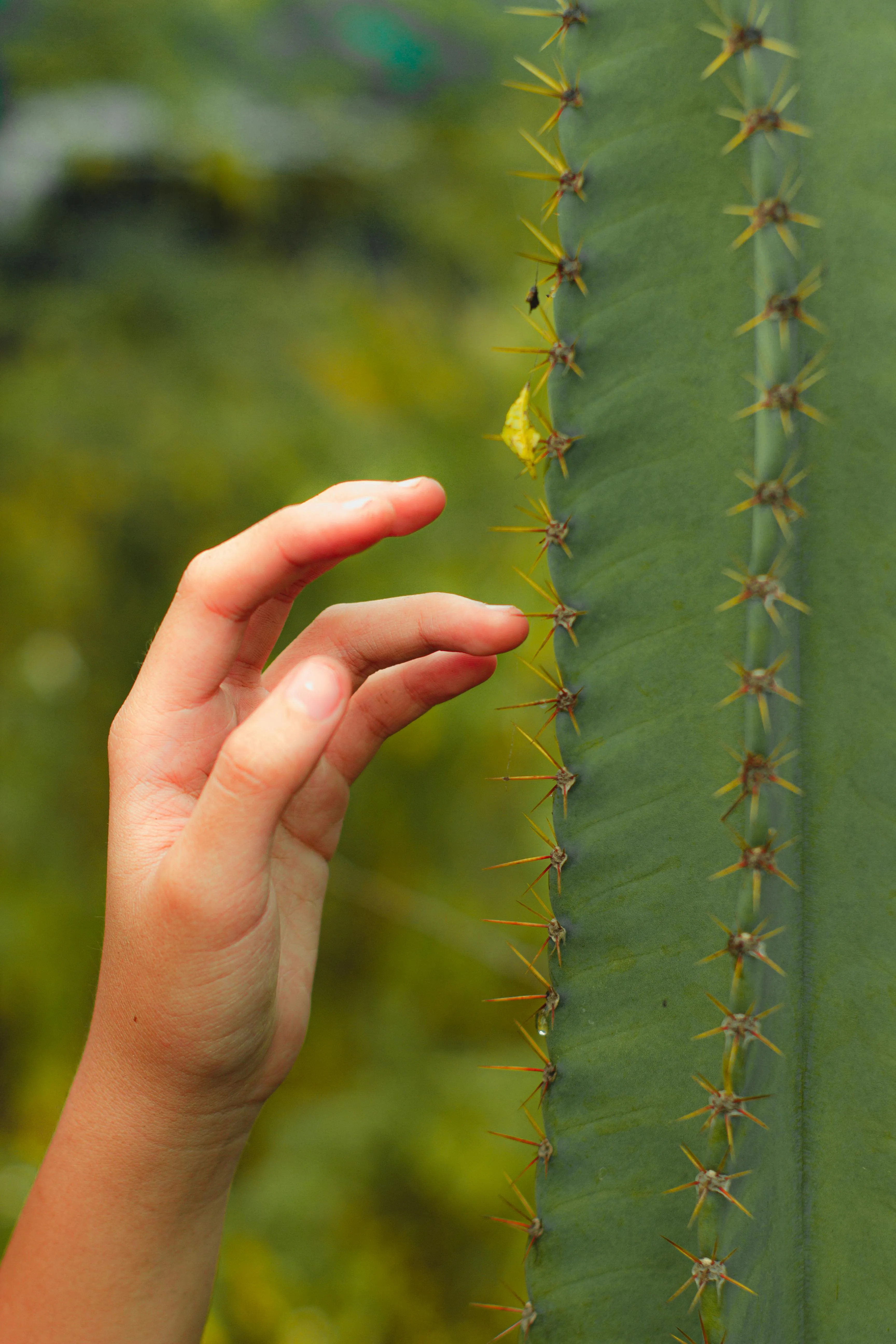 A finger pokes a cactus